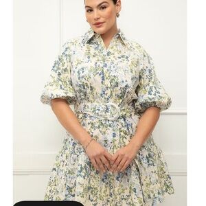 ELOQUII Elements Button Down Dress With Flounce